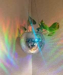 Shop Lena Jade The Disco Planter